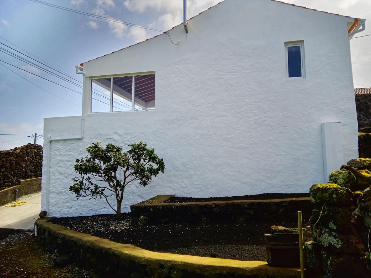 Villa Casa Do Marcelino Lagarto à São Roque do Pico Extérieur photo