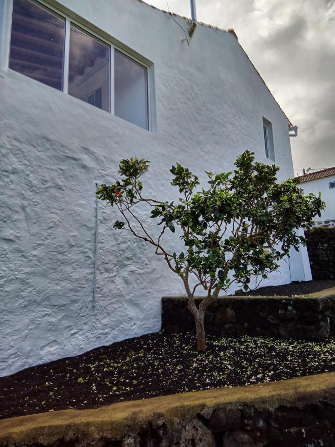 Villa Casa Do Marcelino Lagarto à São Roque do Pico Extérieur photo